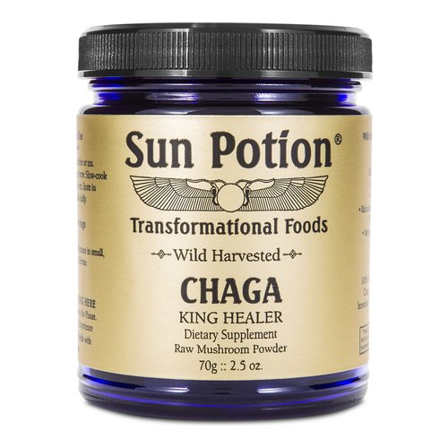 Sun Potion Chaga Wild Mushroom Powder on white background