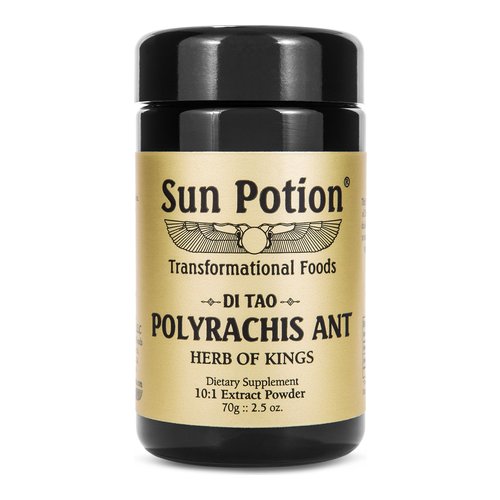 Sun Potion Polyrachis Ant Extract Powder on white background