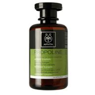 Apivita Propoline Balancing Shampoo for Oily Hair and Scalp 250 mL Apivita on white background
