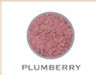 Youngblood Crushed Mineral Blush Plumberry