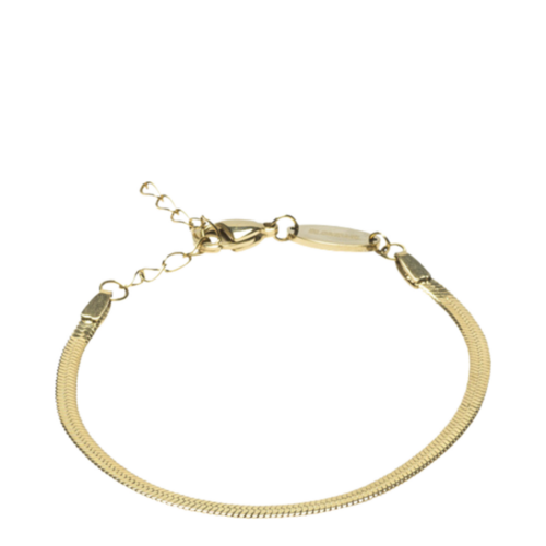 Blomdahl Plain Gold Bracelet (5.5-19cm) on white background
