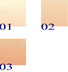 Pupa  on white background