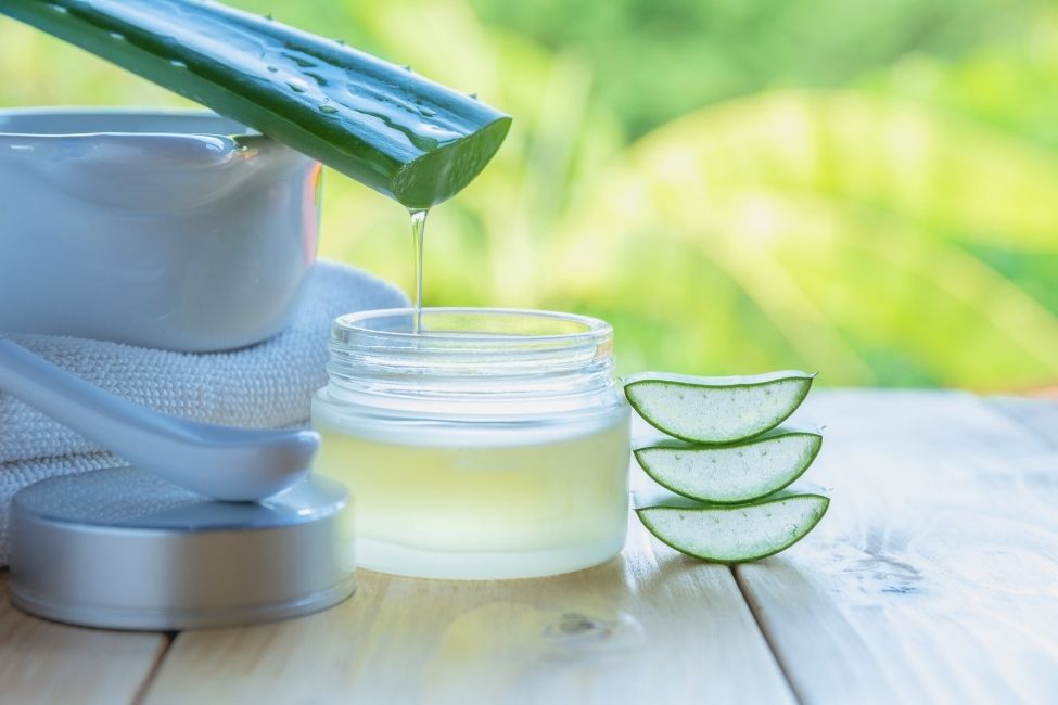 Aloe Vera packed with 75 active ingredients