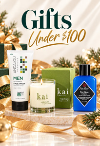 Gifts Under $100 right banner