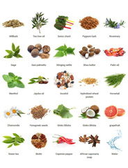 OUR NATURAL INGREDIENTS right banner