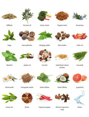 OUR NATURAL INGREDIENTS right banner