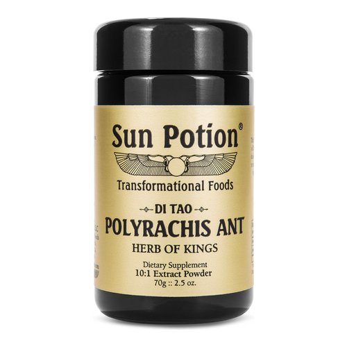 Sun Potion Polyrachis Ant Extract Powder, 70g/2.5 oz Sun Potion Polyrachis Ant Extract Powder on white background