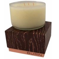 Burn  on white background