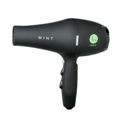 Black Bird Ionic Dryer