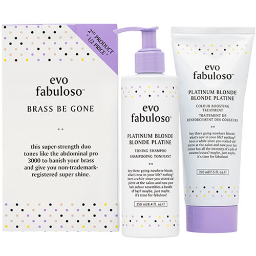 Evo Brass Be Gone Kit, 1 set Evo Brass Be Gone Kit on white background