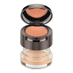 Cover and Correct Under Eye Concealer Duo - Light