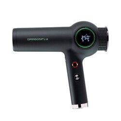 Dragonfly Ionic Dryer