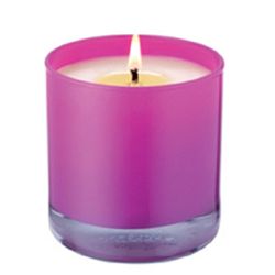 Mama Mio  on white background