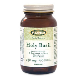 Holy Basil on white background