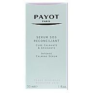 Payot  on white background