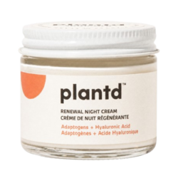 Renewal Night Cream on white background
