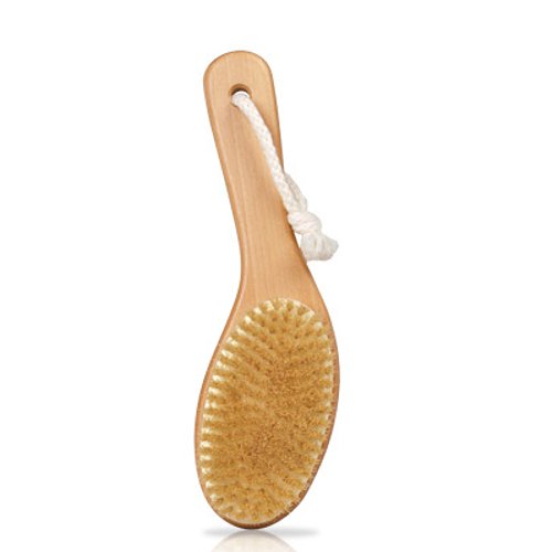 Bioelements Natural Body Brush , 1 piece Bioelements Natural Body Brush on white background